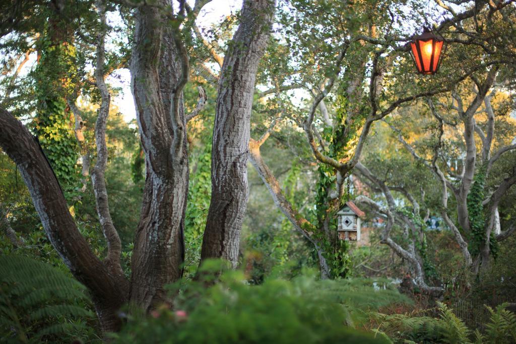 Old Monterey Inn Exterior photo